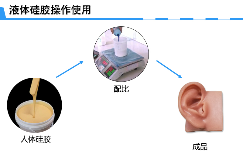 仿真人体硅胶操作